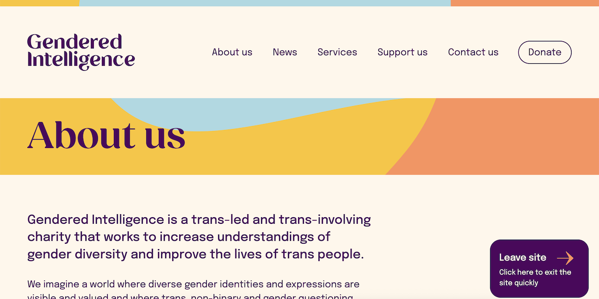 Gendered Intelligence