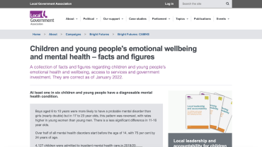 State_of_Youth_Mental_Health_Web1.png